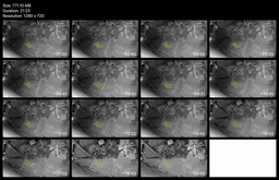 Outdoor Trail Foam Mat candid human carpet (both gender) – Part 2