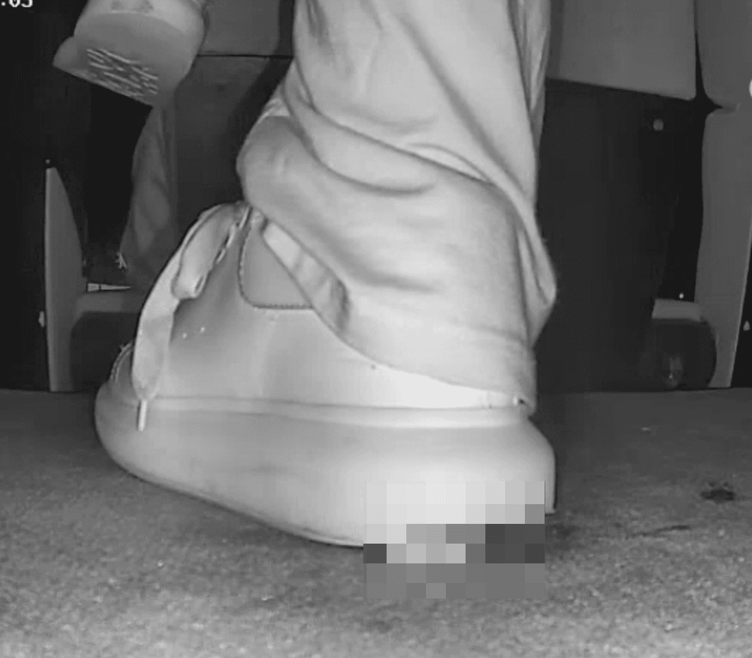 Alexander Mcqueen shoe candid crush in cinema