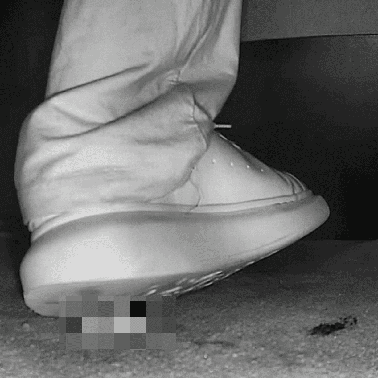 Alexander Mcqueen shoe candid crush in cinema