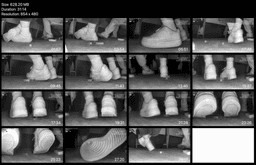 Nike sneaker candid crush in the cinema