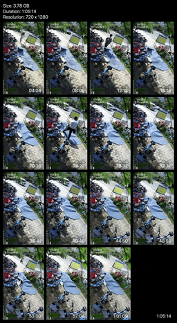 Candid trampling on the streets outside the university