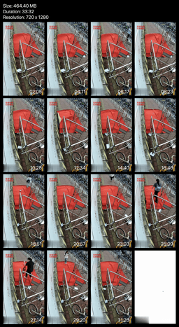 Outdoor human carpet trampled by girls (all girls) on the street