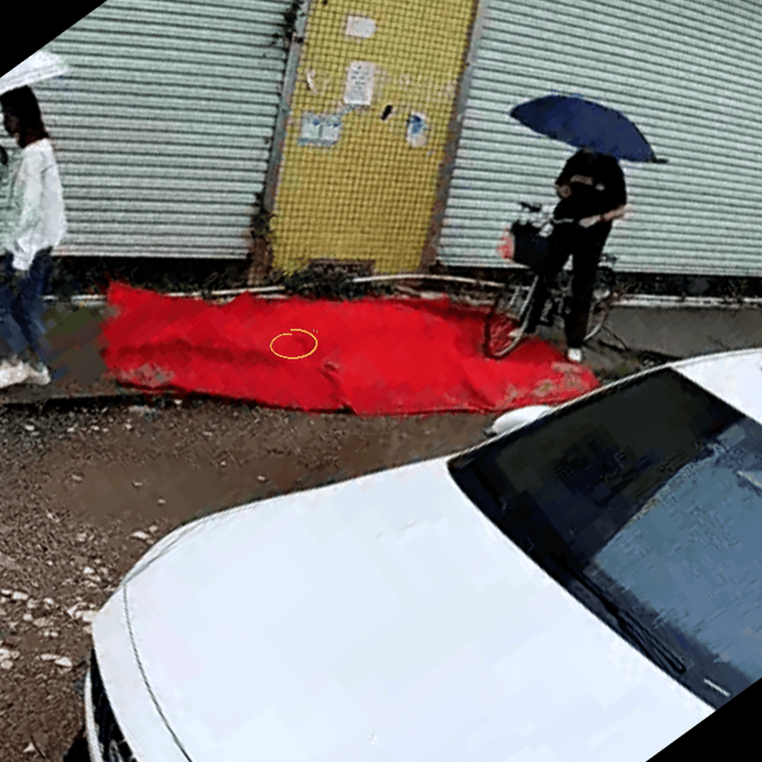 Outdoor human carpet trampled (both genders) on the street