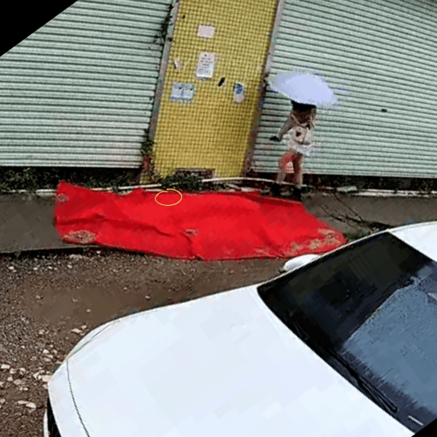 Outdoor human carpet trampled (both genders) on the street