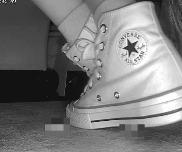 Woman candid crush with high-top white Converse at cinema