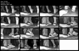 Two girls black Converse + Vans candid hand trample in cinema