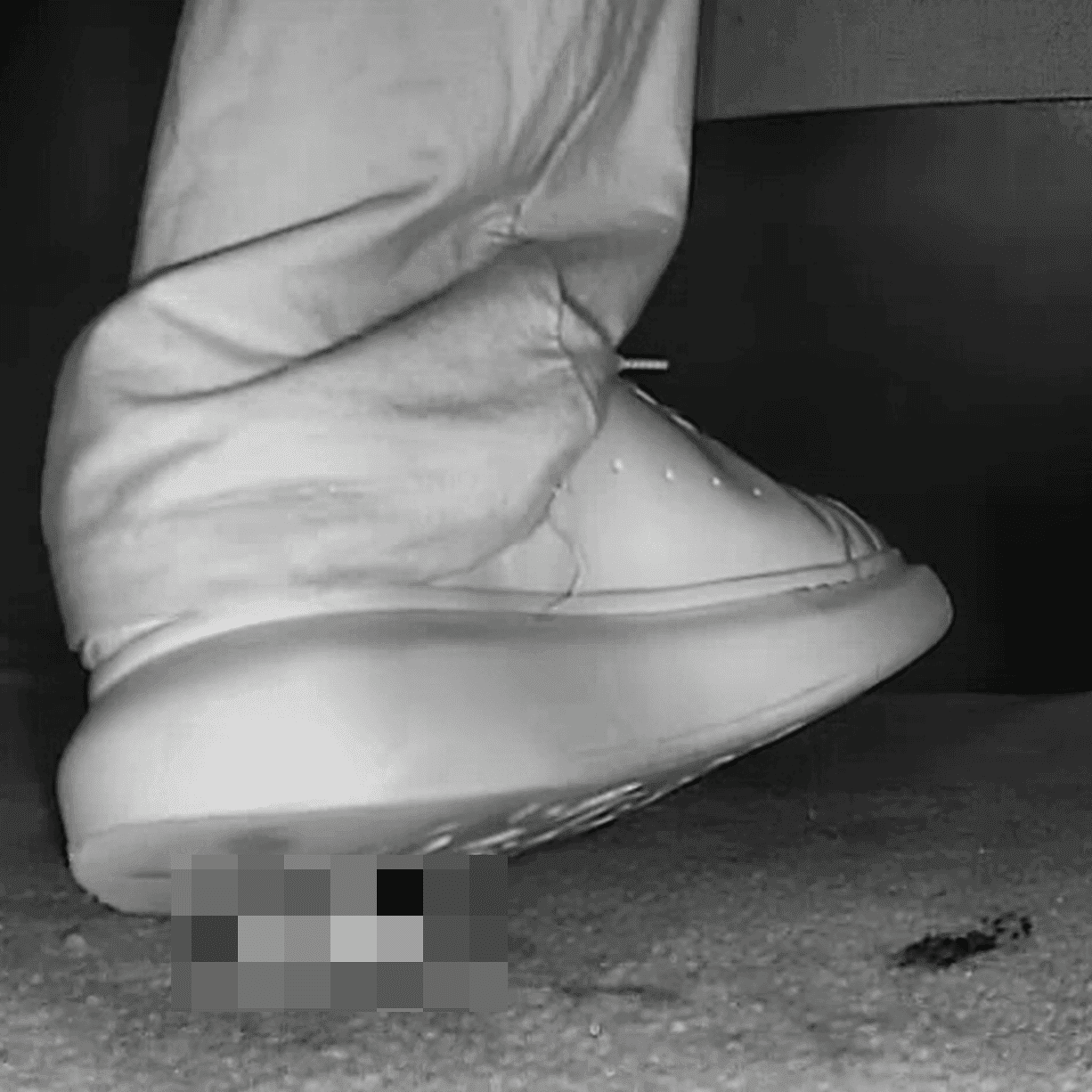 Alexander Mcqueen shoe candid crush in cinema